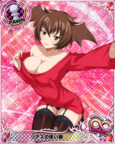 Hottest Highschool DxD Female Characters - 1